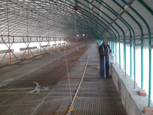 銅陵平菇大棚建造 濰坊三禾農業(yè)全國施工與免費設計報價服務